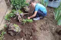 viber_slika_2025-05-15_10-56-19-840