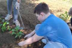 viber_slika_2025-05-15_10-56-23-412