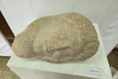 viber_slika_2025-07-11_17-45-07-008