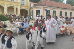 viber_slika_2024-09-08_17-01-22-334-–-kopija