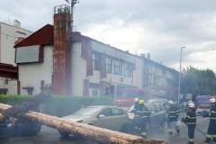 Pokazna-vatrogasna-vjezba-Oroslavje12