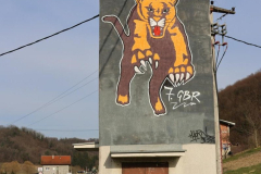 KZZ-Puma5-web