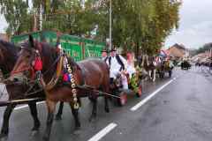 viber_slika_2023-09-24_13-09-23-307