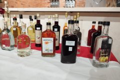 pusca-izlozba-rakije-1