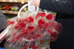 pusca-dan-zena-karanfili