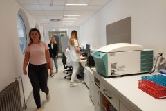 IMG-d1ac836ff028044933611208a1930fe1-V