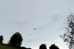 IMG-a19eaa4cf531c68a787d9b68dd1072a0-V