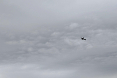 IMG-ef347c3371e8bb46c1c1bd58103059dd-V