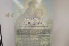 IMG-ada7c117ba45128674cfca2b4ad99290-V
