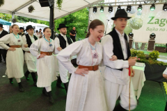 IMG-5f4ce8d96929b645ef590c5343ca6bb9-V
