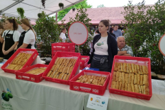 IMG-7aab3880b6c4b8bc792f72e7bb6e849c-V