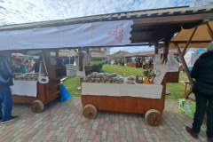 stubicke-toplice-dosel-je-vuzem