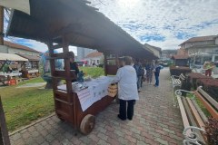 stubicke-toplice-dosel-je-vuzem10