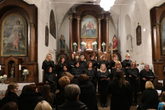 susret-zborova-konjscina.jpg-5
