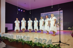 IMG-13f19c7ac4ab7be7dcf8400c0de0744e-V
