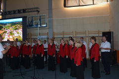 DSC_0309-Copy