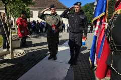 IMG-5c1923284baa815acf52920ed7aee276-V