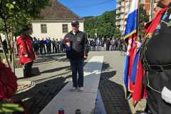 IMG-c8847e66c59ba141fac10fc968fa51c6-V