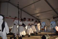 dani-folklora-i-zabave-11