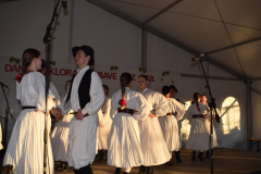 dani-folklora-i-zabave-13