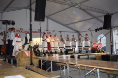 dani-folklora-i-zabave-15