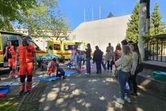 IMG-130027e308e84072f211560b661abd79-V-1