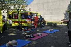 IMG-4bd1812ccb3232c08f26fca06f0da5f8-V