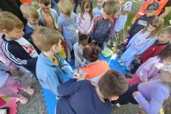 IMG-54805e9a4c9e78ece4d332fb8e04e2c4-V