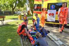 IMG-bc21e3d82ab8a10219a6345bd0068da3-V