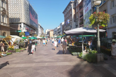 IMG-01622d02700b1b24bcd48b8b264bdf3e-V
