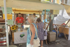 IMG-390b268782c3caf1e8a64ab29c3a39a4-V