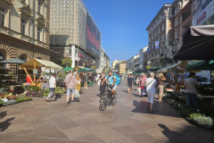 IMG-a0a7ec907df2477c4c37fa4d0cafe3fe-V