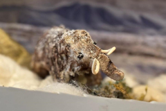 zimske-radionice-muzej-krapinskih-neandertalaca-6