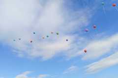 82cc229d-94a6-41d8-8496-7d6c8d6a69e1