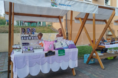 viber_slika_2024-09-07_18-51-24-651
