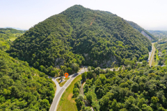 zelenjak-dron