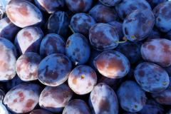 viber_slika_2025-08-20_08-20-17-542