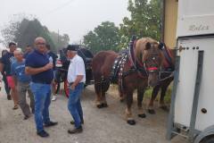 viber_slika_2023-08-20_08-19-19-044
