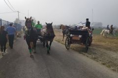 viber_slika_2023-08-20_08-52-01-746