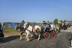 vozocasce-19