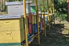 IMG-4c1e95c8ef251e090a7f50df47fff294-V