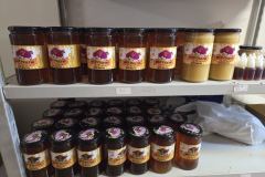 IMG-769b5ea6351458fed79ac84391a96f27-V