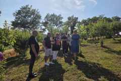 IMG-76a88185ad0d08a4f0638f82364da172-V