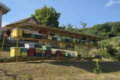 IMG-7f390b6b4620f227554519a303485efb-V