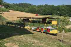 IMG-aef34e7030edd95db36ad5e405e6af30-V