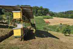 IMG-d17b2cf1a8d88454d50ca1326033cb85-V