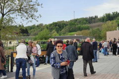 zlatar-trznica-17